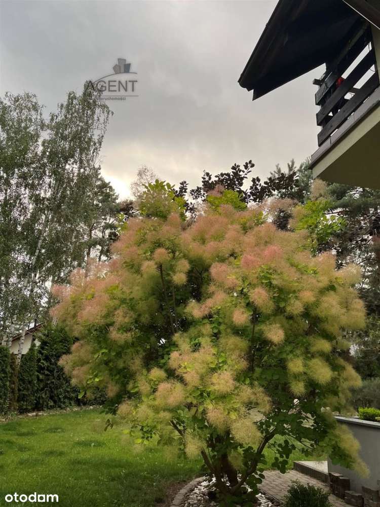 Dom w malowniczym zakątku Bydgoszczy!!!-4