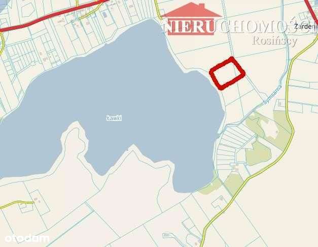 Działka bud.z linią brzegową(120m)Jeziorany-Olszty - Pełny obrazek: 3/7