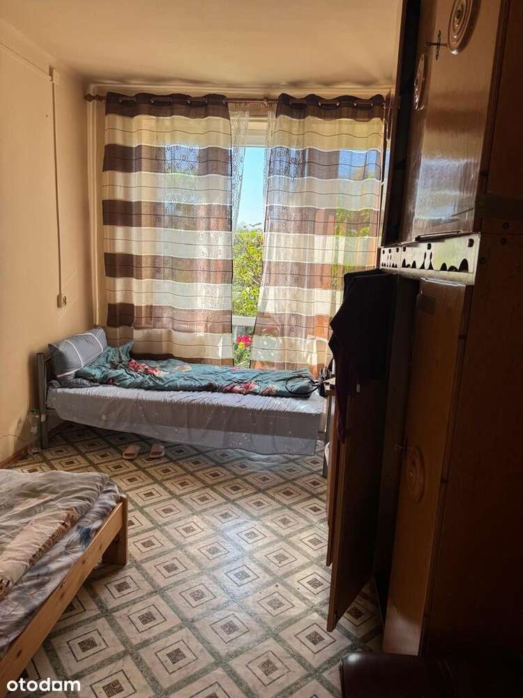 Dom z zabudowaniami, działka 3000 m²-19