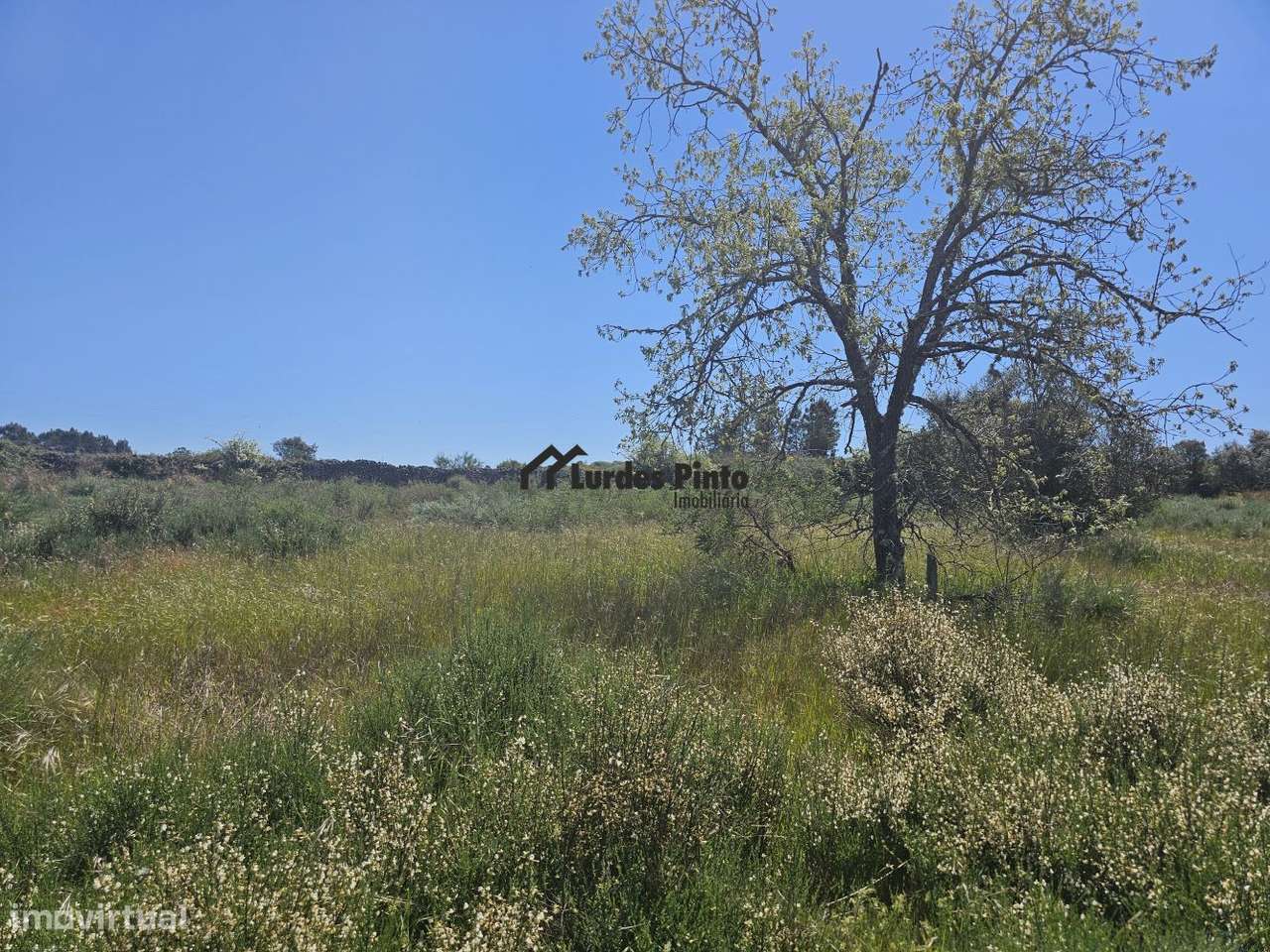 Quinta com construção em pedra perto do rio-7