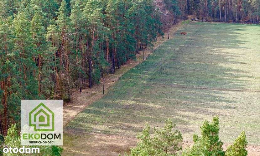 Dwie malownicze  działki pod lasem 1017 i 1957 m2 / Panoszów-8