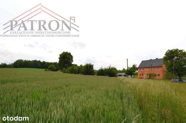 Działka budowlana w malowniczej wsi Włodzice Małe.-6