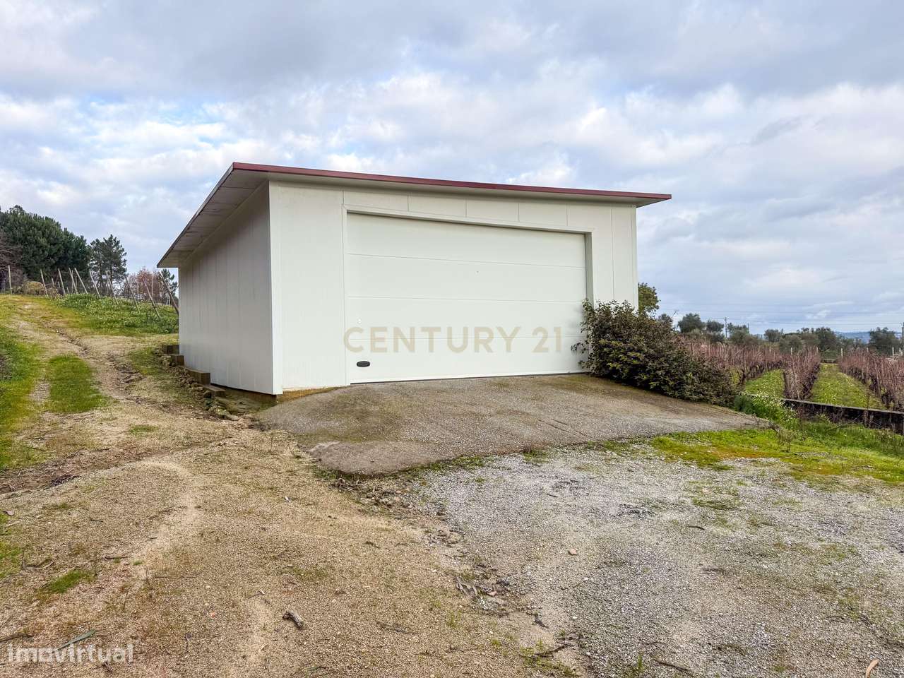 Terreno agrícola em São João de Lourosa, Viseu - Grande imagem: 4/8