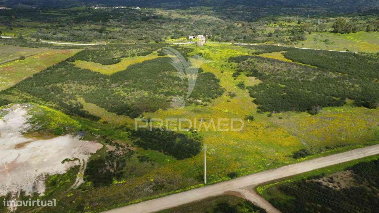 Terreno rústico com 7,3ha, com um moinho, no Azinhal - Grande imagem: 5/33