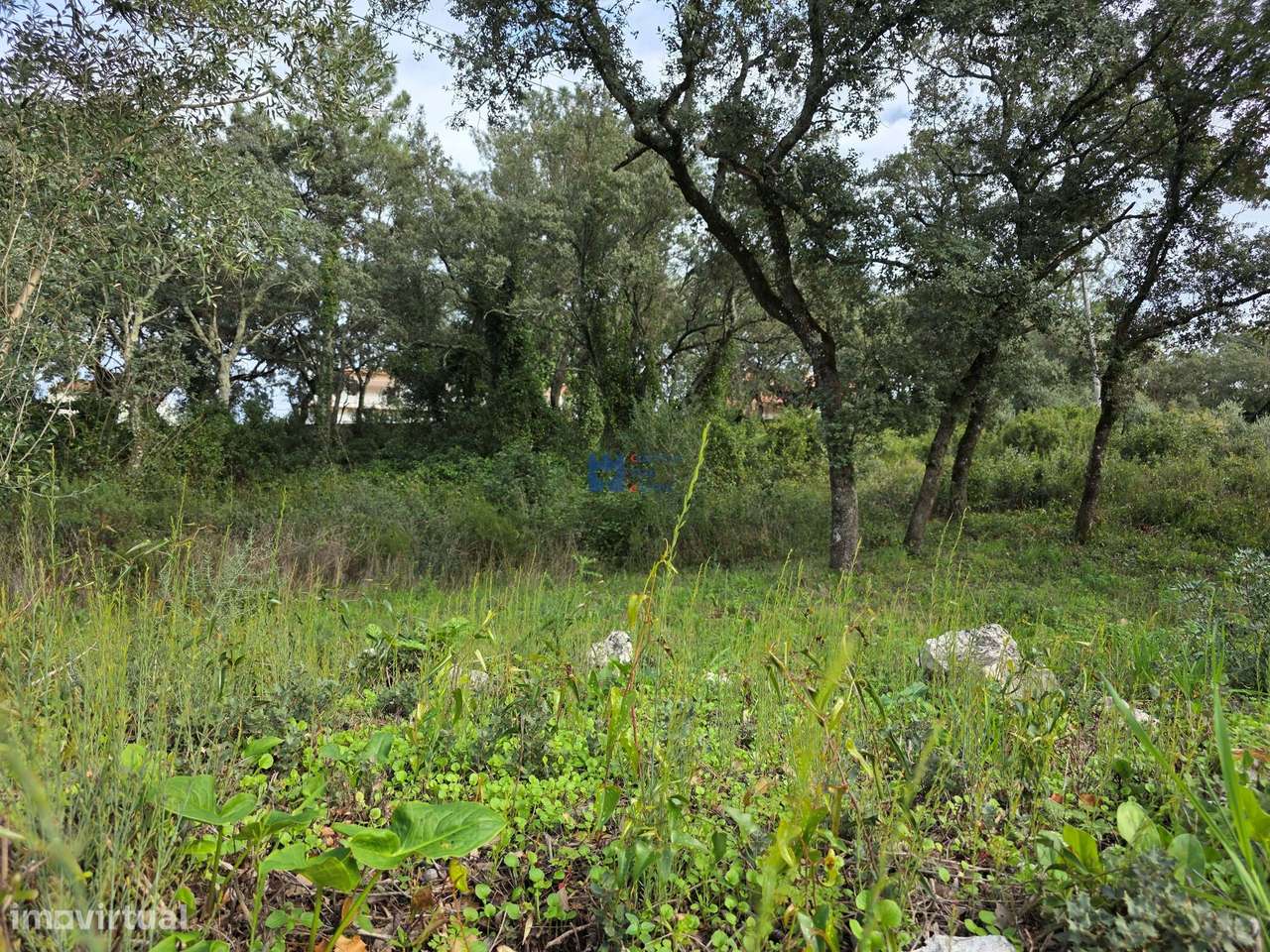 Lotes de terreno em Minde-12