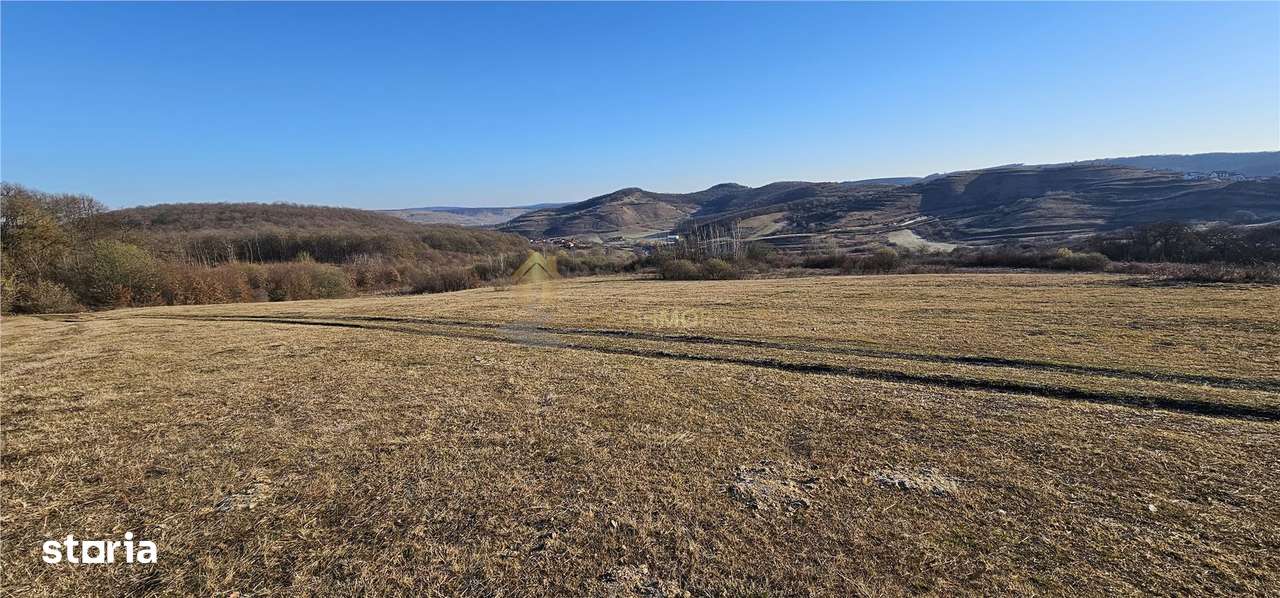 TEREN EXTRAVILAN 6119 MP TAUTI - Imagine principală: 3/4