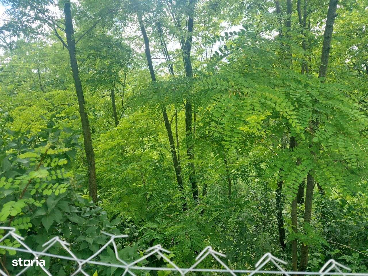 Reducere pret! Teren 4300 mp, Pietraria, peisaj superb, aer de munte!-4