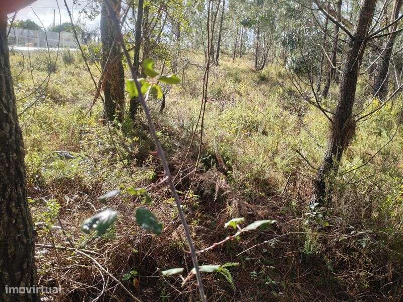 Terreno na Almagreira Construtivo - Grande imagem: 5/11