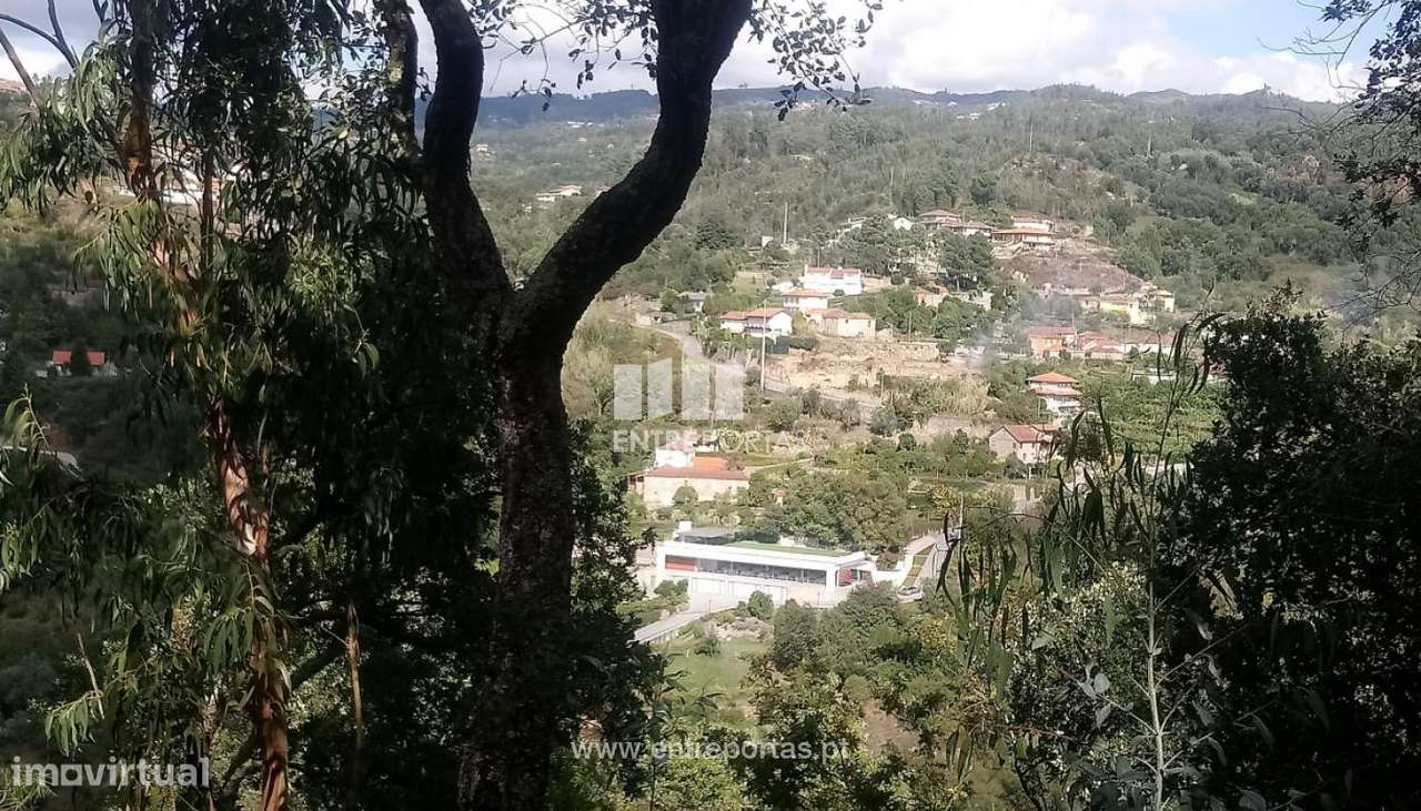 Venda Terreno com frente Rio Douro, Espadanedo, Cinfães - Grande imagem: 2/34