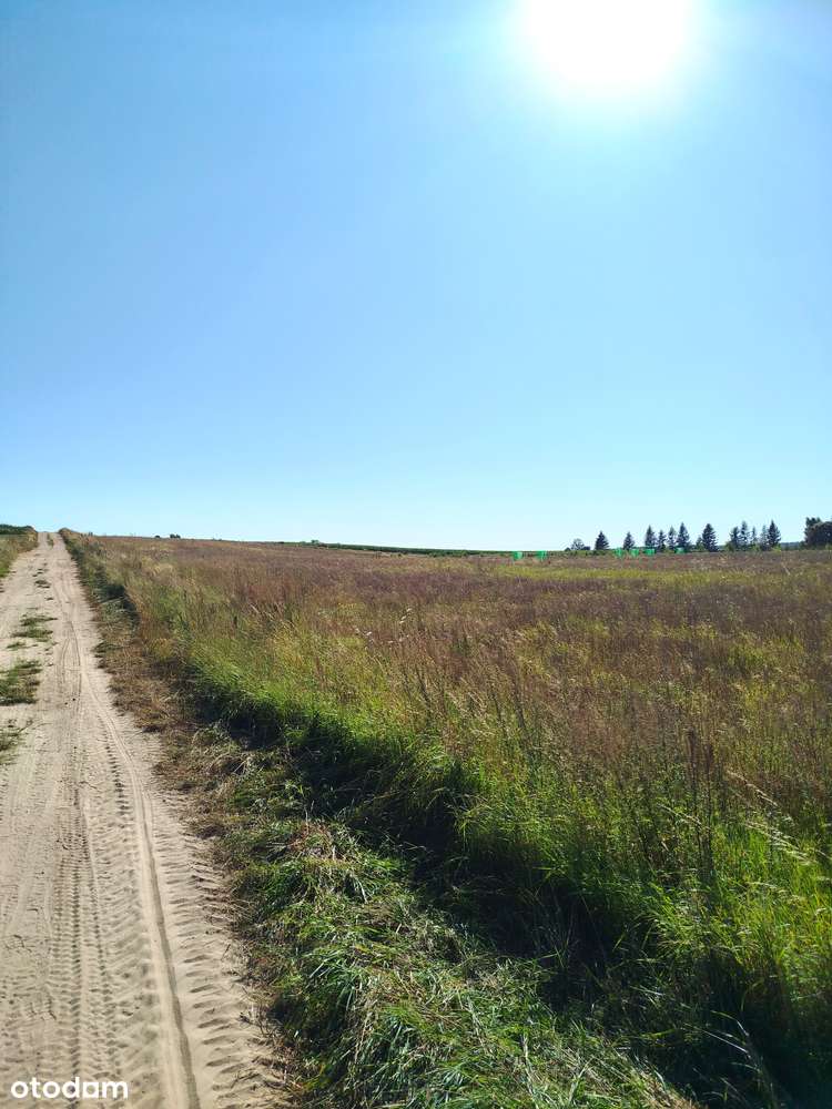 Działka budowlana - Pełny obrazek: 4/16