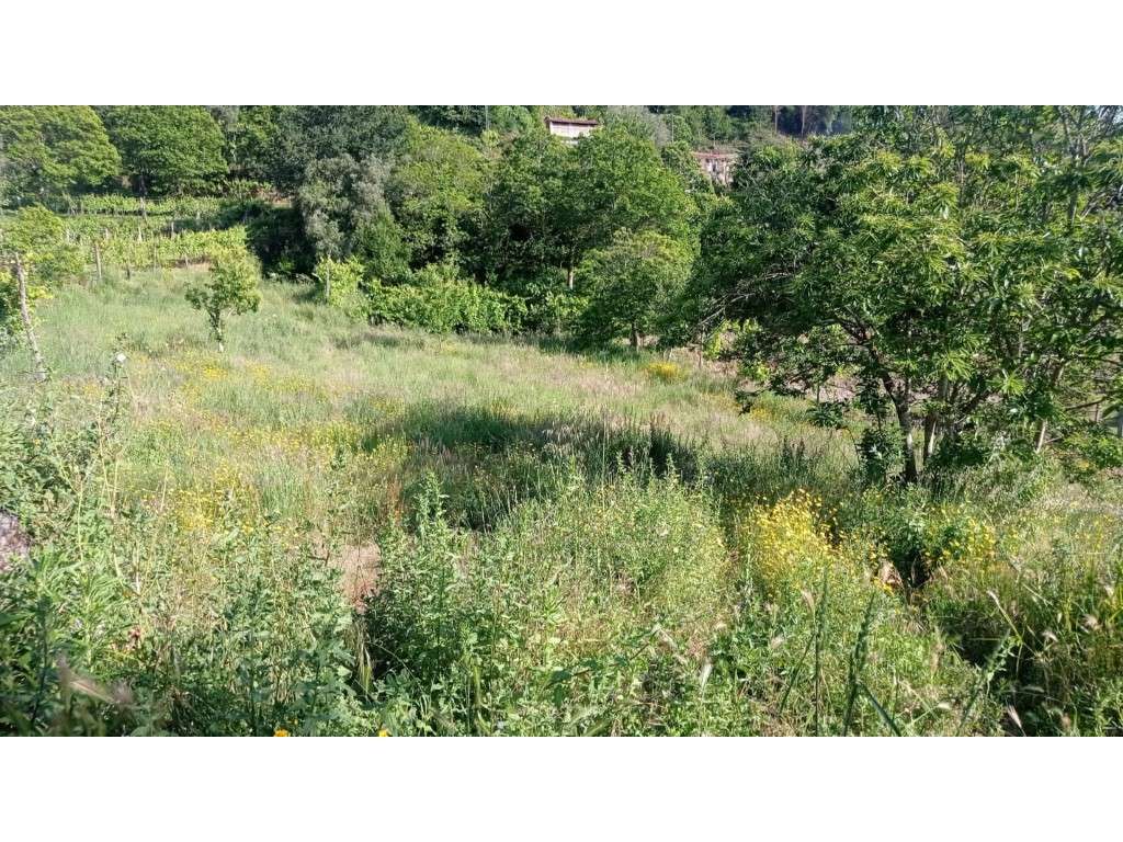 terreno - Grande imagem: 3/4