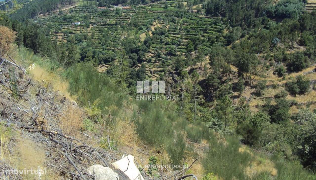 Venda Terreno, Oliveira do Douro, Cinfães - Grande imagem: 4/11