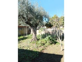 Moradia Térrea (Casa de Campo), T2 com Logradouro (Quintal) - Grande imagem: 4/19
