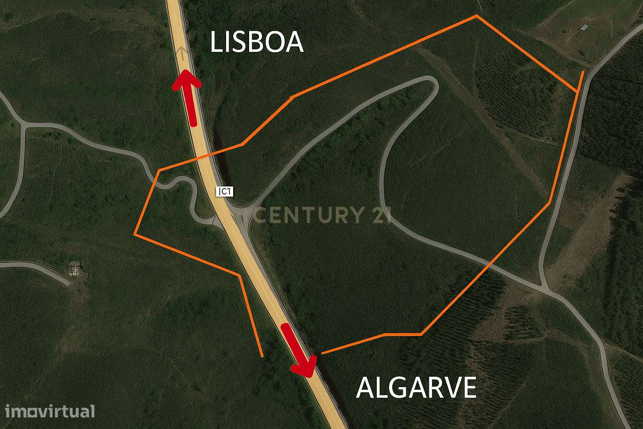 Terreno Rústico com Mais de 8 Hectares — Santana da Serra | À Porta do - Grande imagem: 4/12