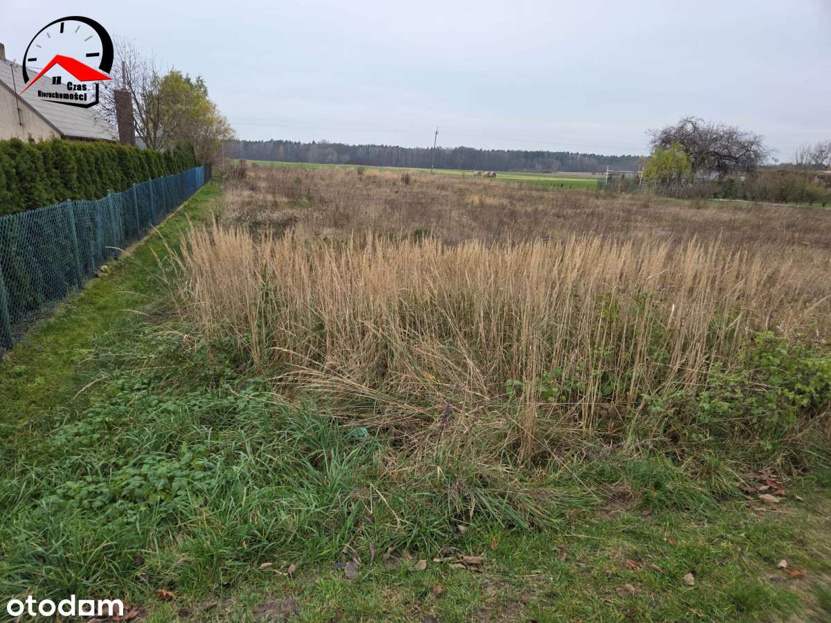 Działka z widokiem na las, 2000 m², Brzeżno - Pełny obrazek: 4/6