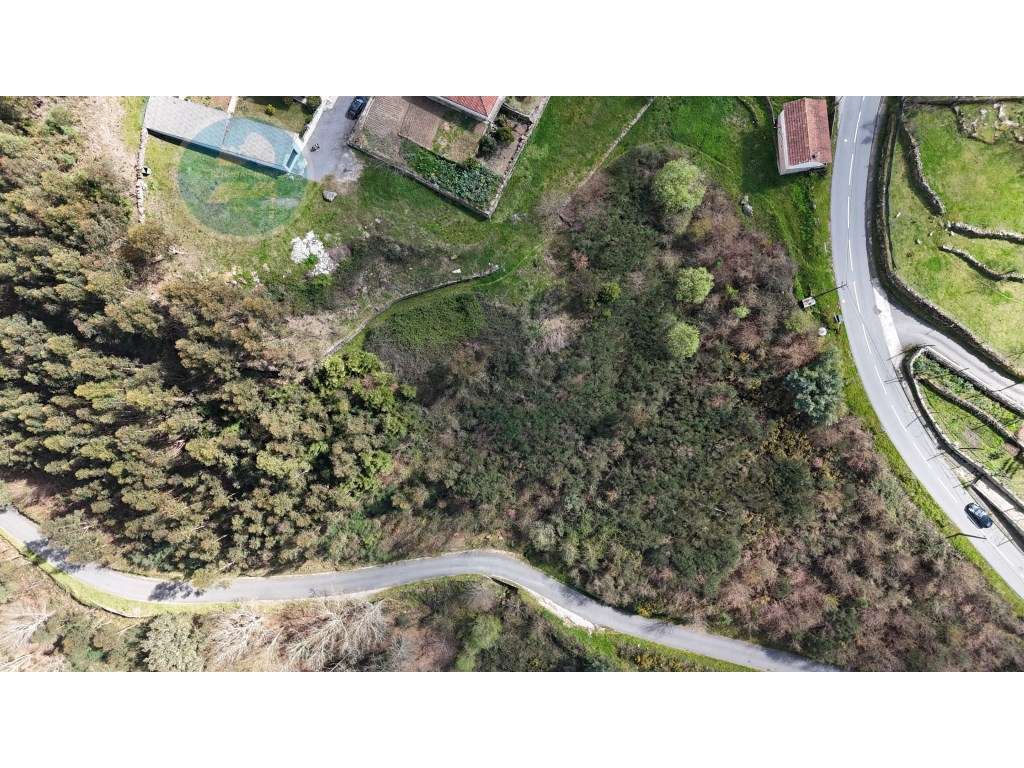 Terreno à venda- Cruz do Muro, Cabeceiras de Basto-5