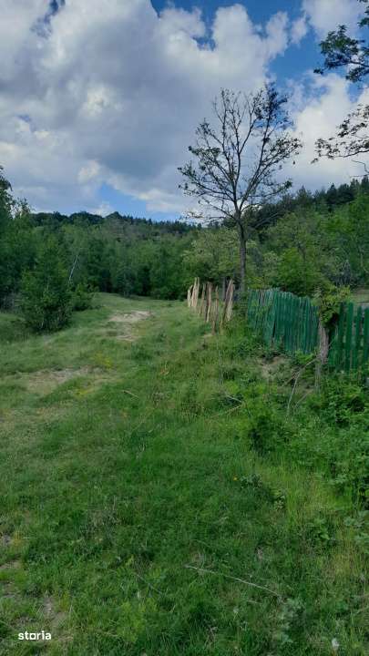 Teren extravilan de vanzare – Stanesti, 3.861 mp, livada de ciresi-8