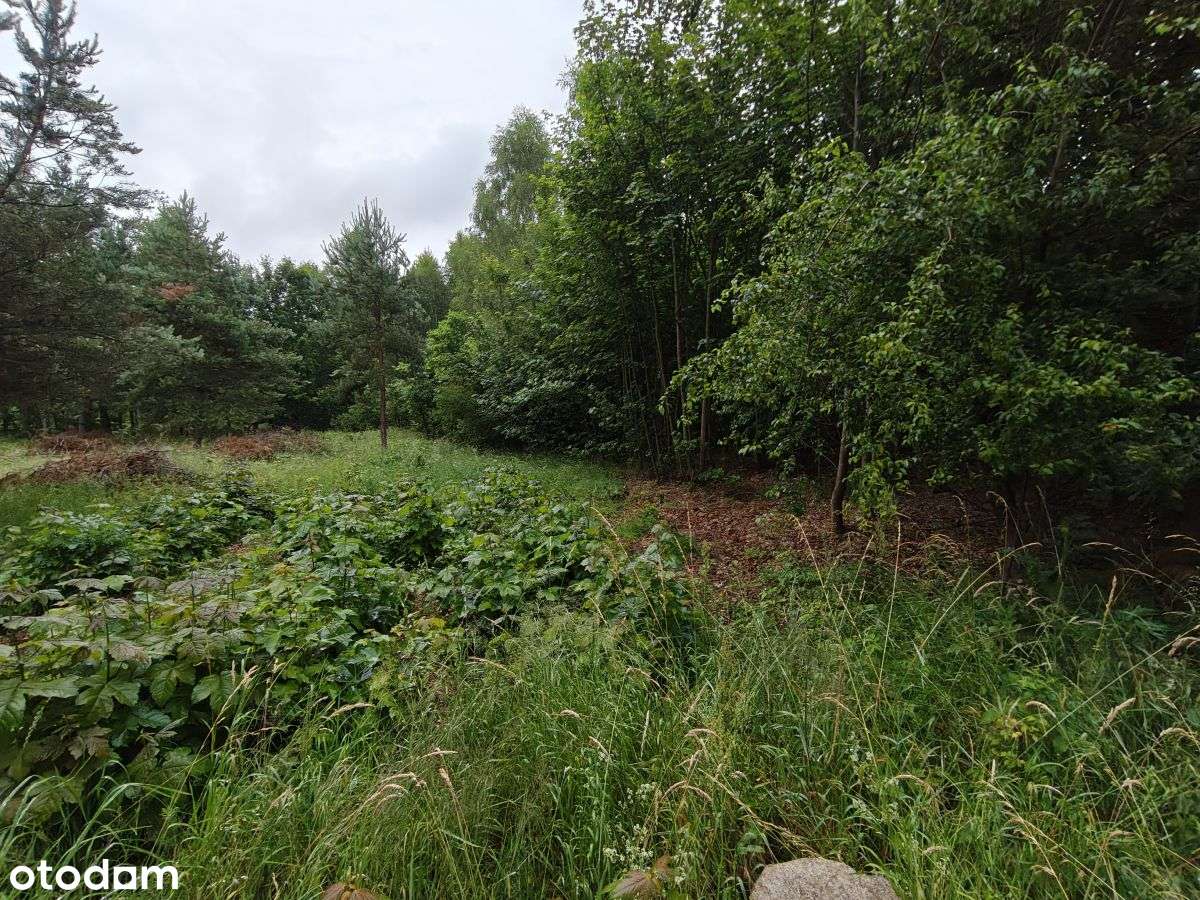 Działka budowlana Parchowski Młyn blisko jeziora.-6