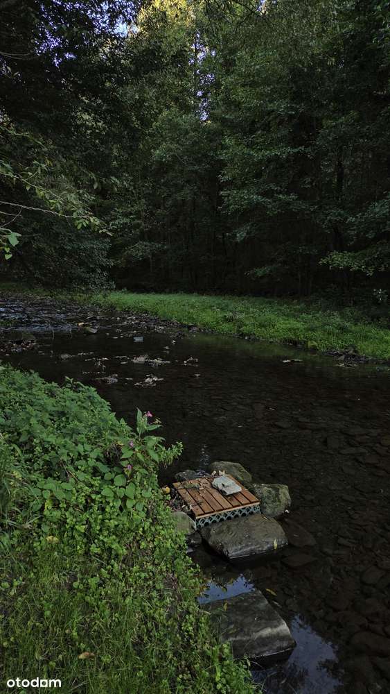 2 mieszkania na 1 księdze-8