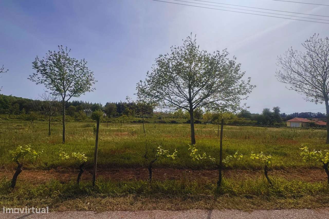Terreno para construção em Vilarinho do Bairro-10
