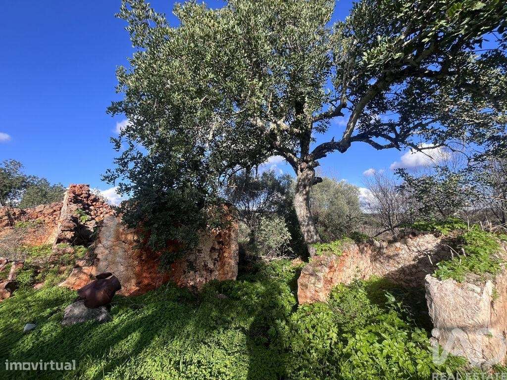 Terreno para construção em Querença, Tôr e Benafim - Grande imagem: 4/9