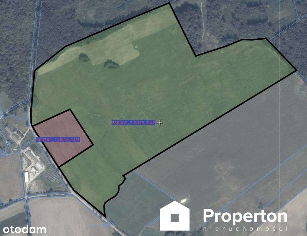 Piękny grunt rolny w jednym kawałku 52 ha - Pełny obrazek: 4/5