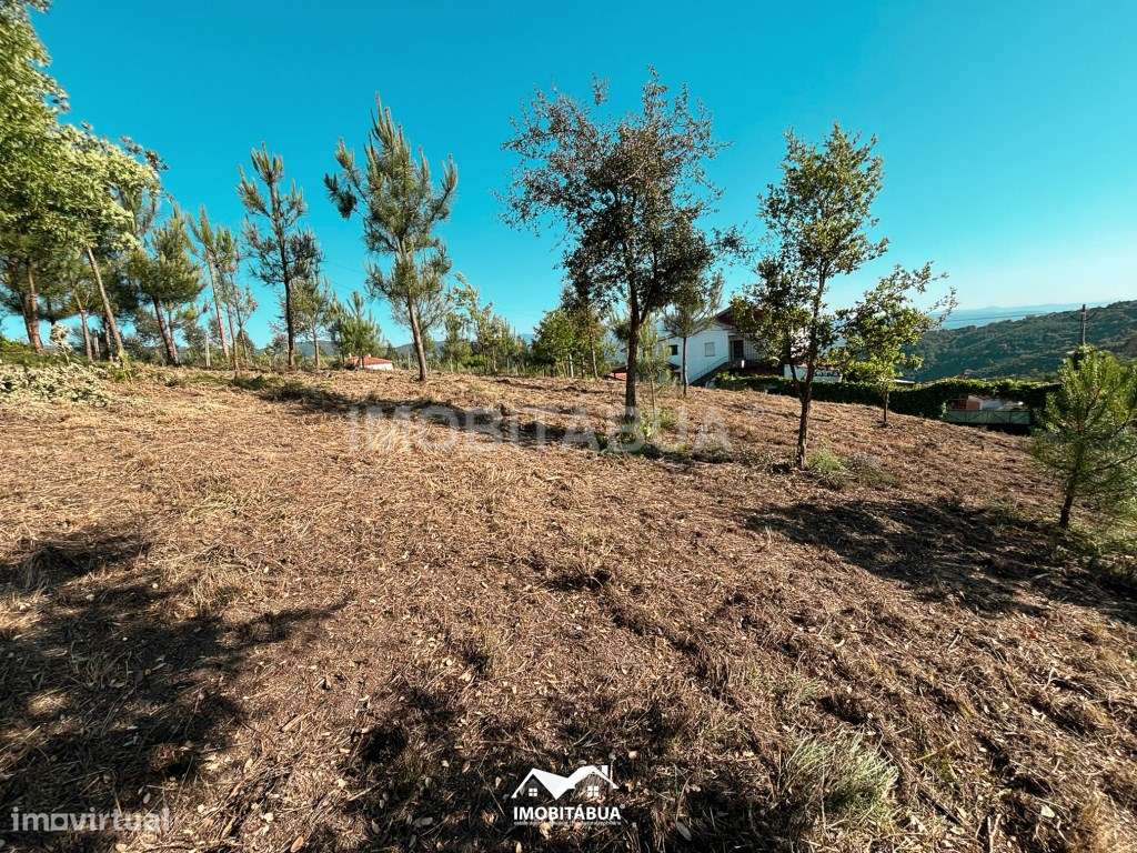 Terreno rústico de 8000 m2 com viabilidade de construção a cerca de... - Grande imagem: 5/20