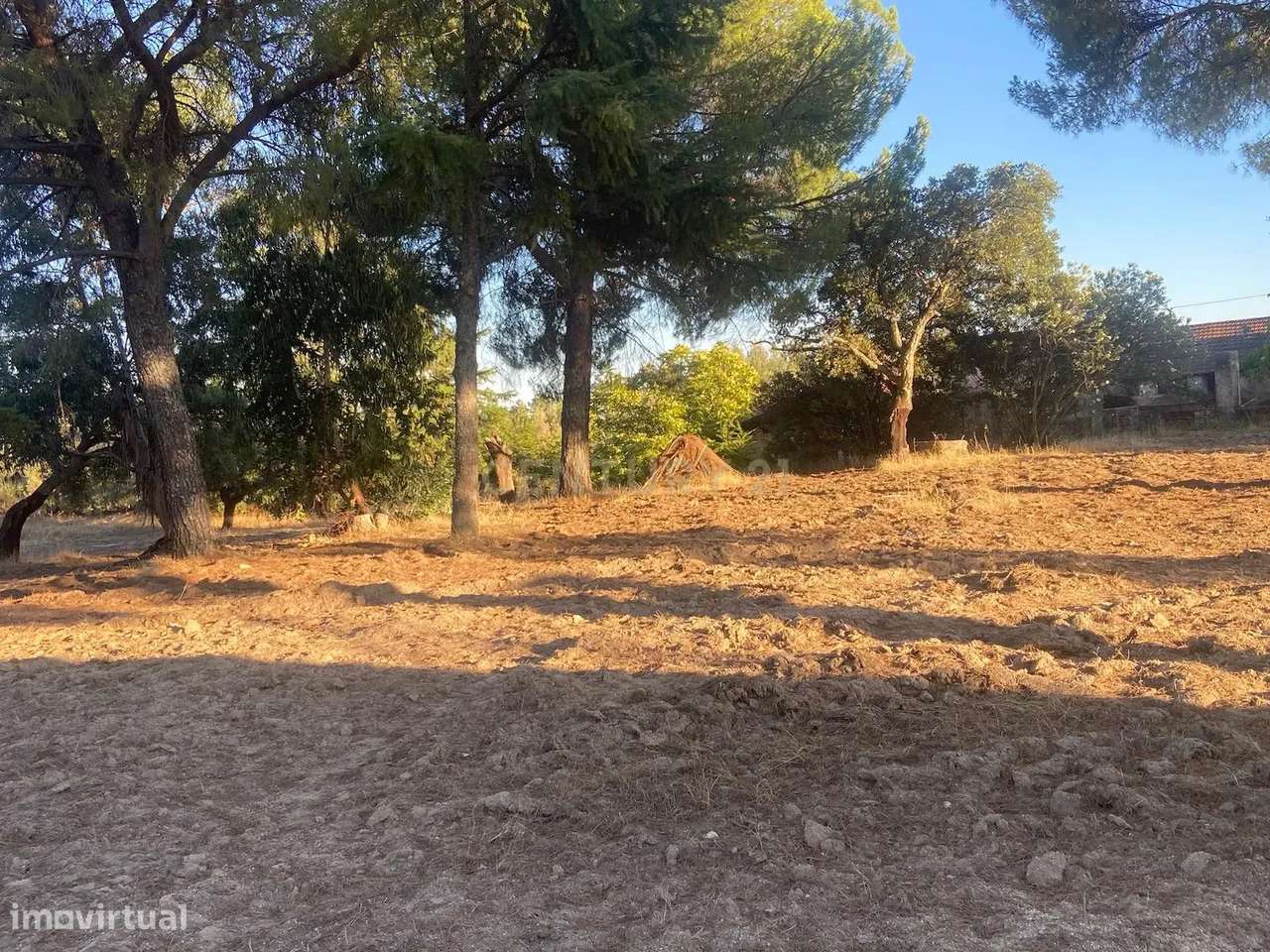 Herdade , Lousa, Castelo Branco - Grande imagem: 4/8