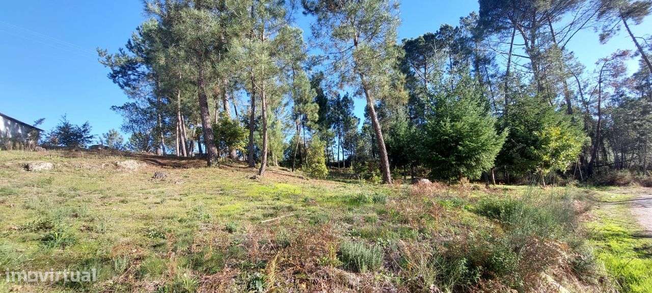 Terreno para Construção Soutulho - Viseu-7