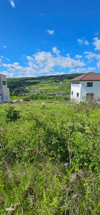 Terenuri pentru case, parcele de la 500mp la 1300 mp, Chinteni - Imagine principală: 2/5