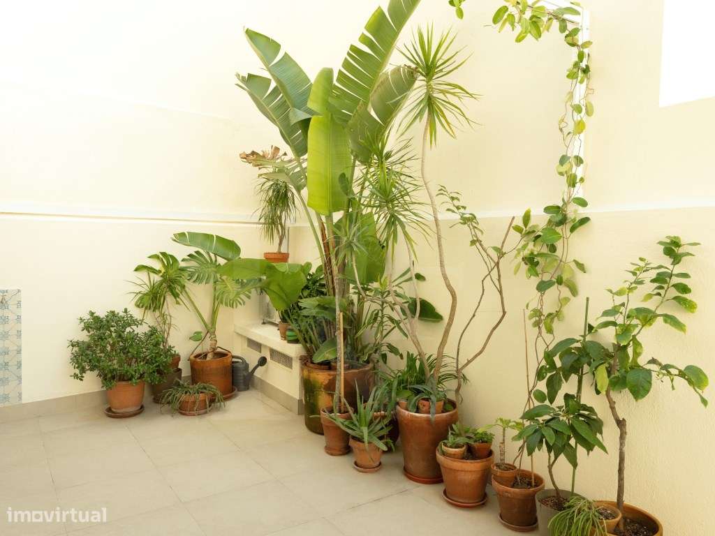 Apartamento T3 em Paço da Rainha / Campo Mártires da Pátria-10