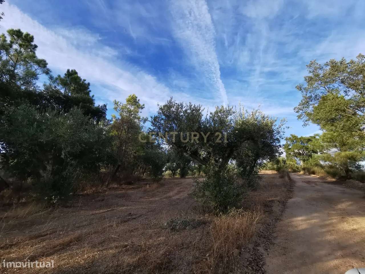 Terreno rústico com construção e poço – Freixial do Campo-7