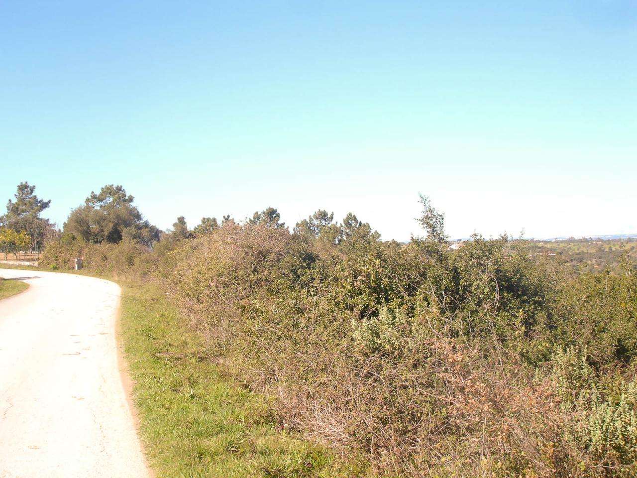 Terreno com 16.440m2 - Grande imagem: 4/6