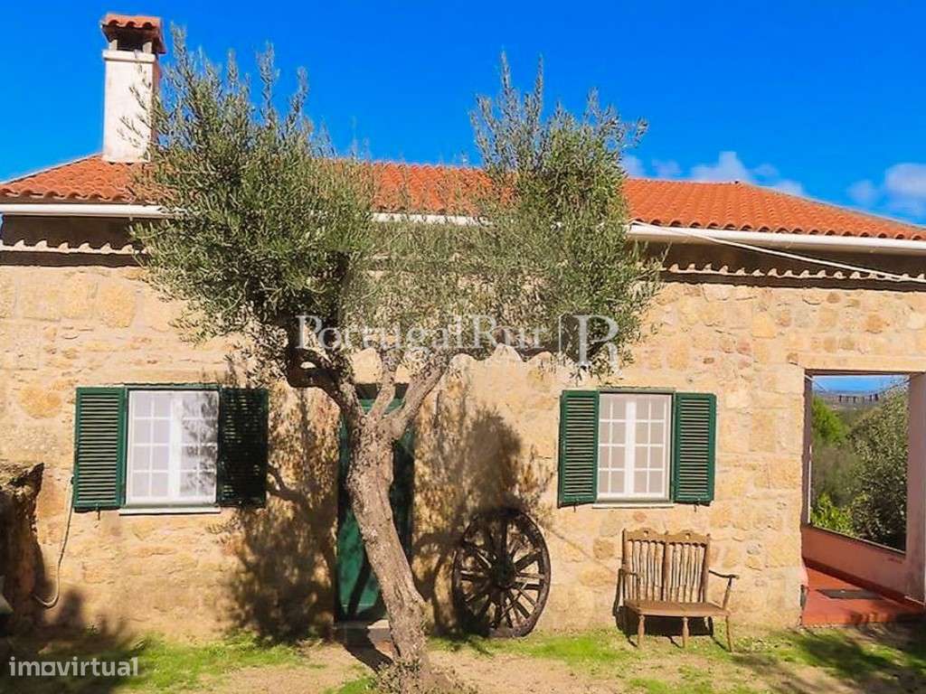 Quintinha de 1,5 ha com Moradia T1 e varias ruínas em Escalos de Baixo - Grande imagem: 5/48