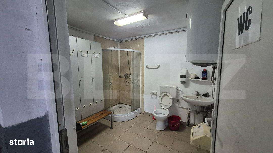 Hala service auto de inchiriat, 135 mp, zona Careiului - Imagine principală: 5/7