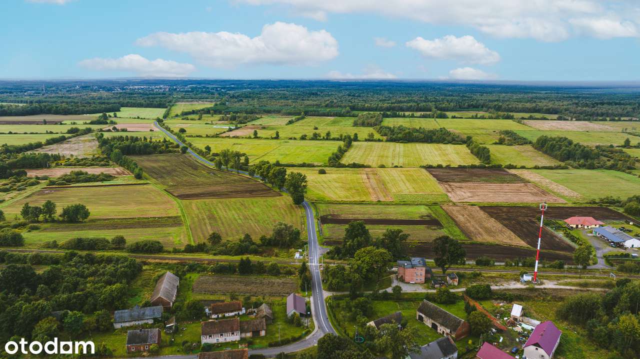 Działki przy Przemkowskim parku krajobrazowym- spokój i natura - Pełny obrazek: 5/18