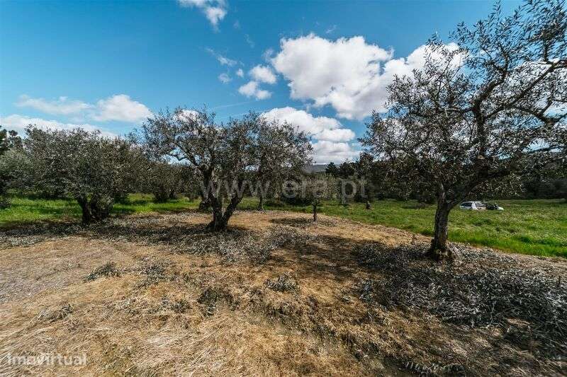 Terreno Rústico / Fundão, Castelejo - Grande imagem: 5/10