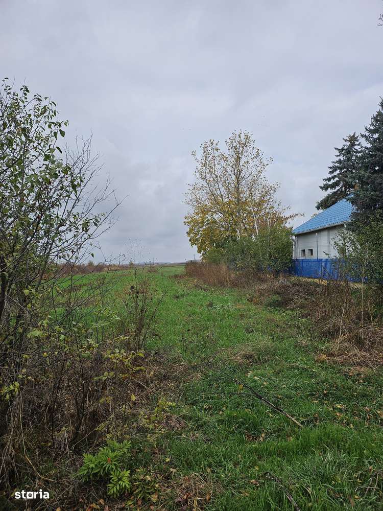 Butimanu Jud. Dambovita, teren intravilan si extravilan-0