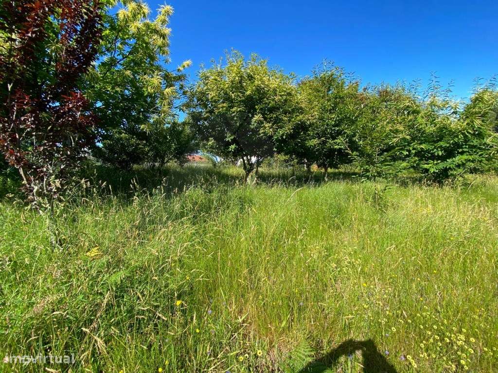 Excelente terreno para construção - Grande imagem: 5/9