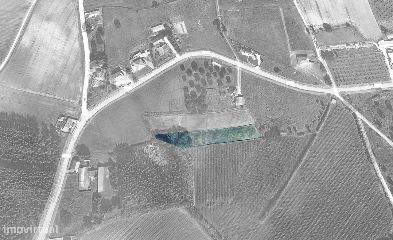 Terreno  para venda - Grande imagem: 5/5