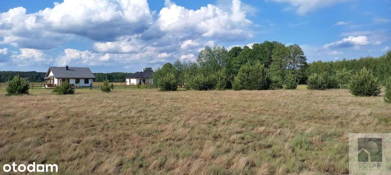 Wyjątkowe, 18km od Bydgoszczy, lokata kapitału! - Pełny obrazek: 4/6