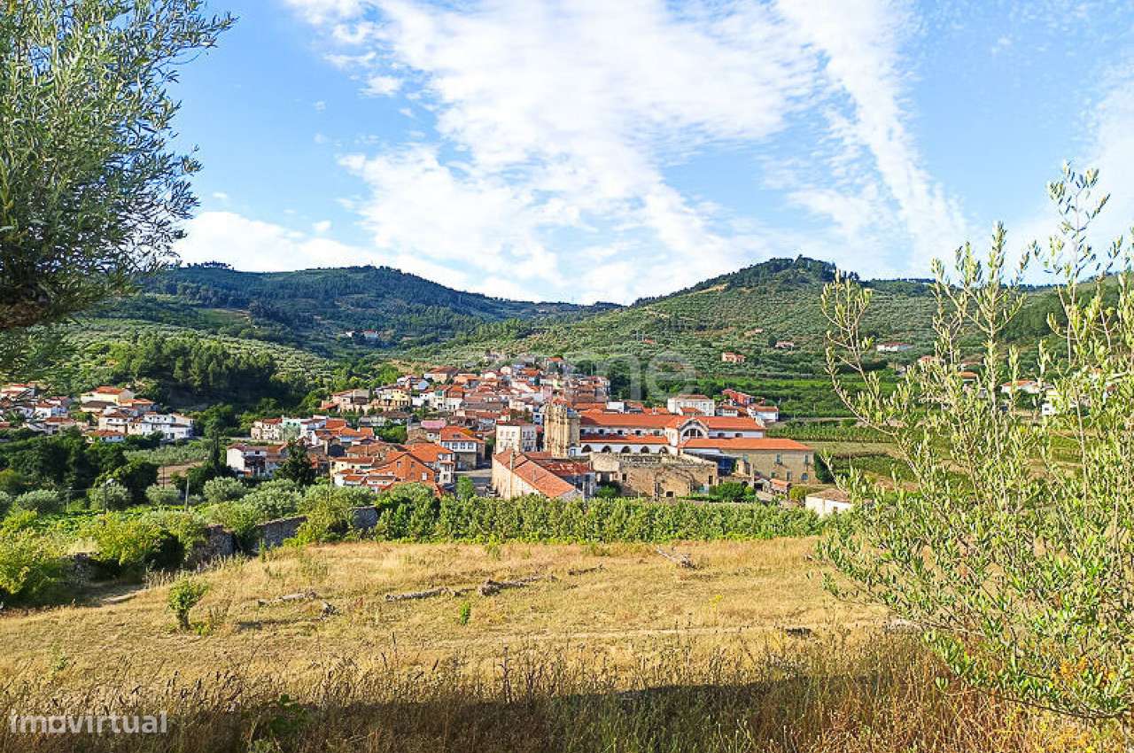 Quinta do Mosteiro de Salzedas com mais 17 ha e património histórico-12