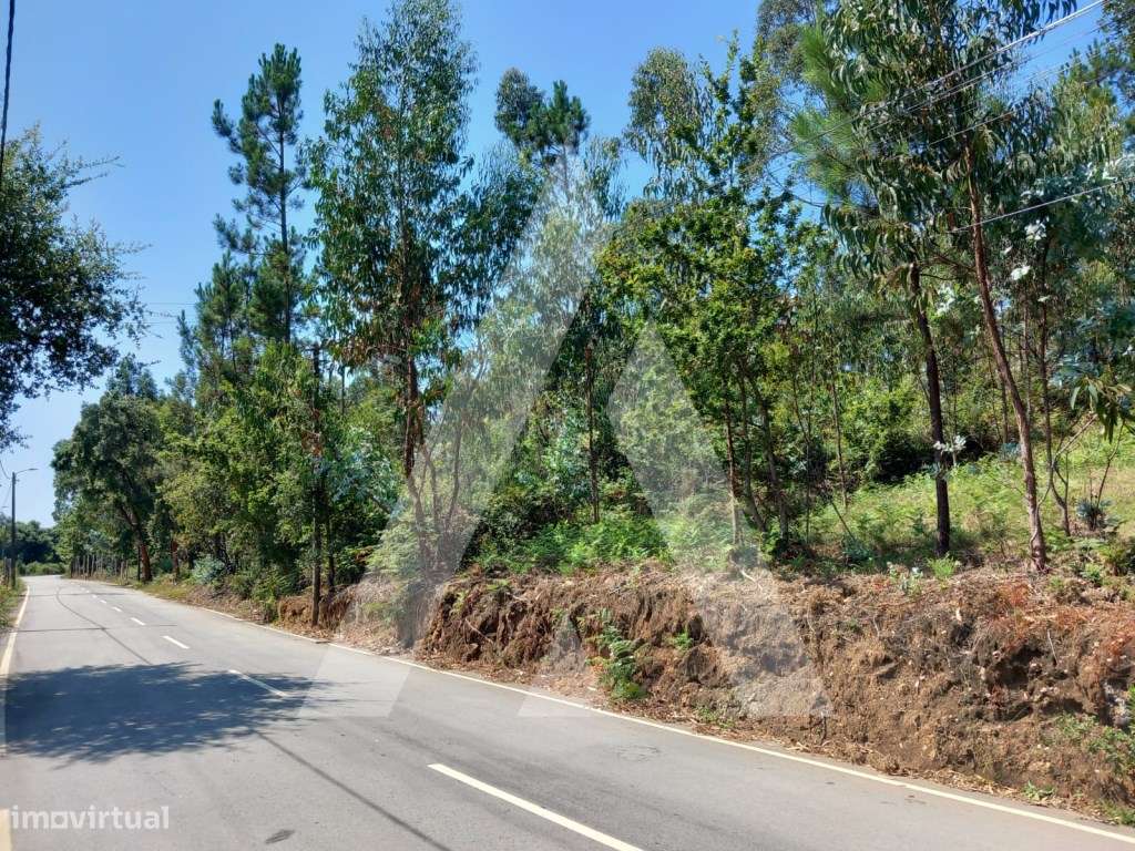 Terreno em Argoncilhe - Santa Maria da Feira - Grande imagem: 1/12