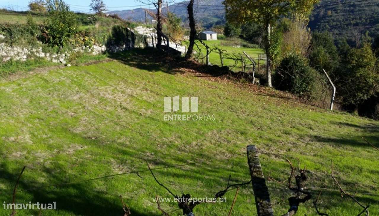 Venda Terreno, vista desafogada, Ovil, Baião - Grande imagem: 3/12