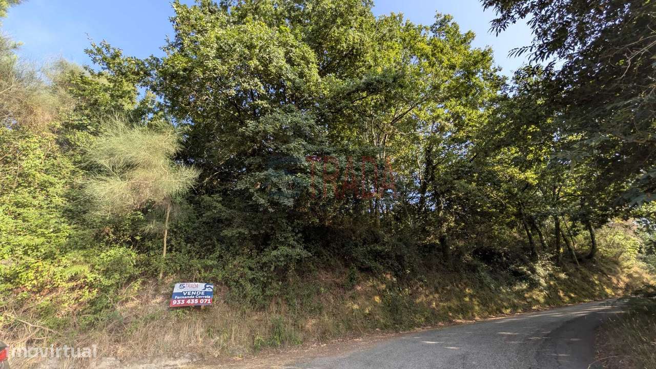 Venda 2 Terrenos Rústicos | 4.810 m² | Bons Acessos | Barros – Vila...-5