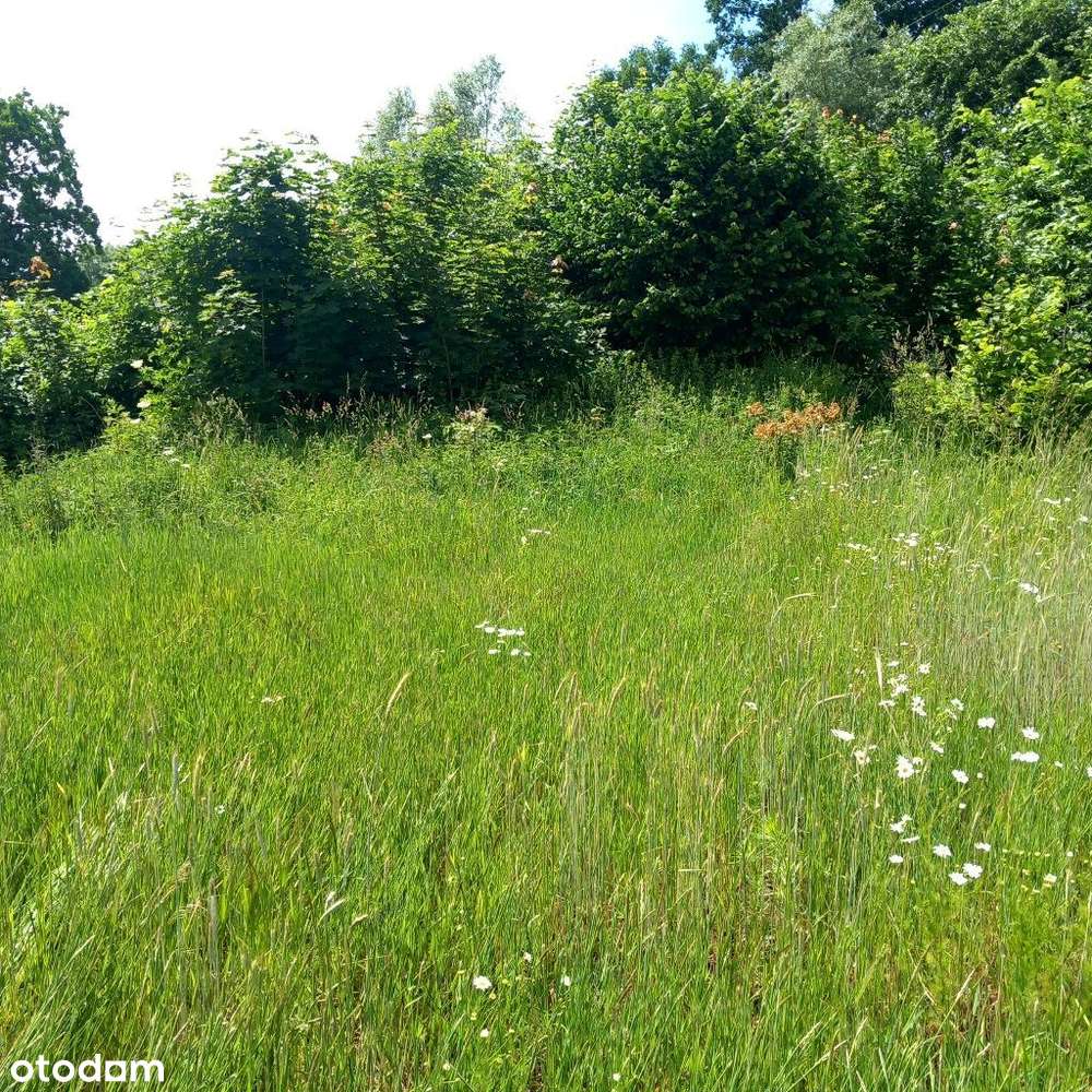 Działki 4km od miasta z kompl. mediów i utw. drogą-6