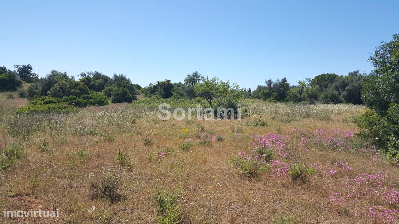 Terreno Para Construção  Venda em Armação de Pêra,Silves - Grande imagem: 5/12