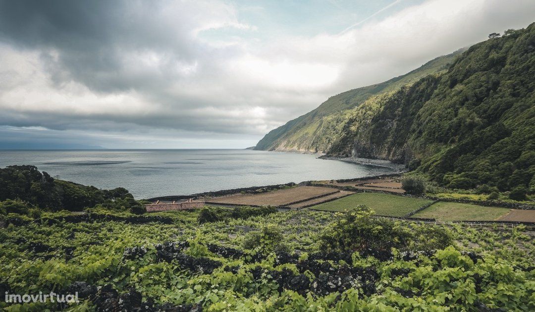 Terreno em S. Roque do Pico, freguesia de Santo Antonio, Açores