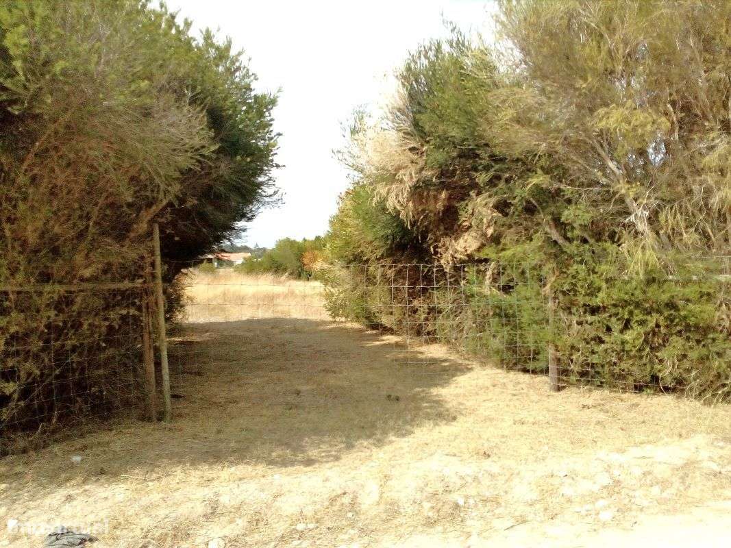 Palmela Terreno rústico com 6150 m2 vedado. - Grande imagem: 4/8