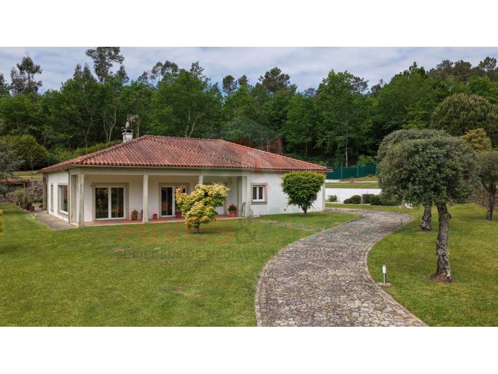 Quintinha com 2 casas -Extraordinária propriedade-2